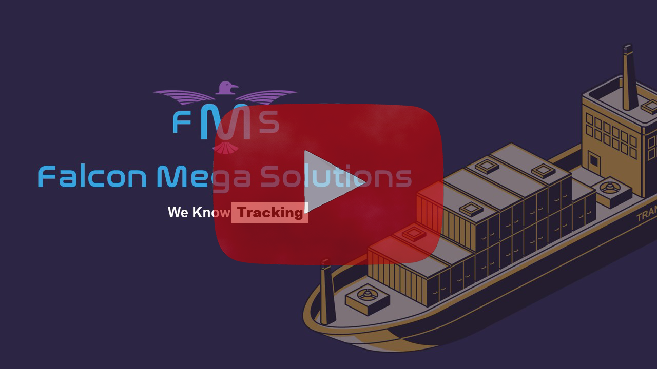 FMS Presentation-YouTube FMS Presentation-YouTube